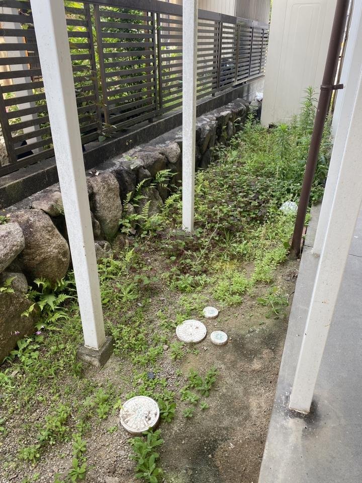 除草作業　ブログ用